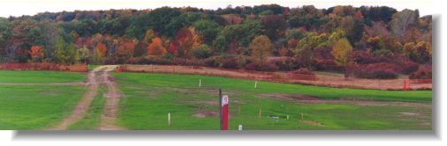 Backyard view from lots 3,4,5 and 6
