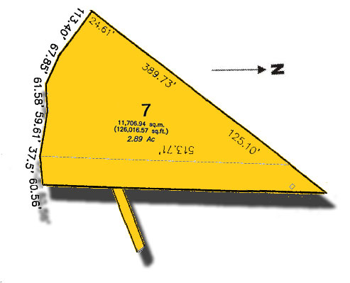 Lot 7
