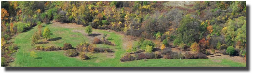 Aerial View from Lot 7